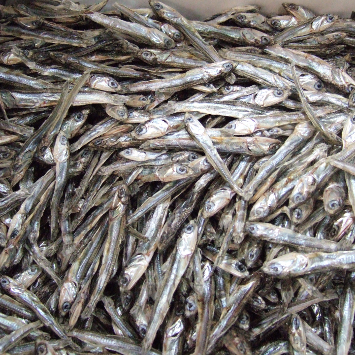 

Ikan Teri Kecil Mentah Segar 1/2 kg Enak dan Termurah