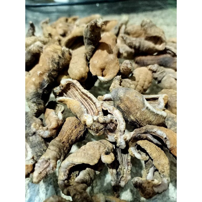 Bonitoop_ Kerecek Teripang Siap Goreng Langsung..Mekar