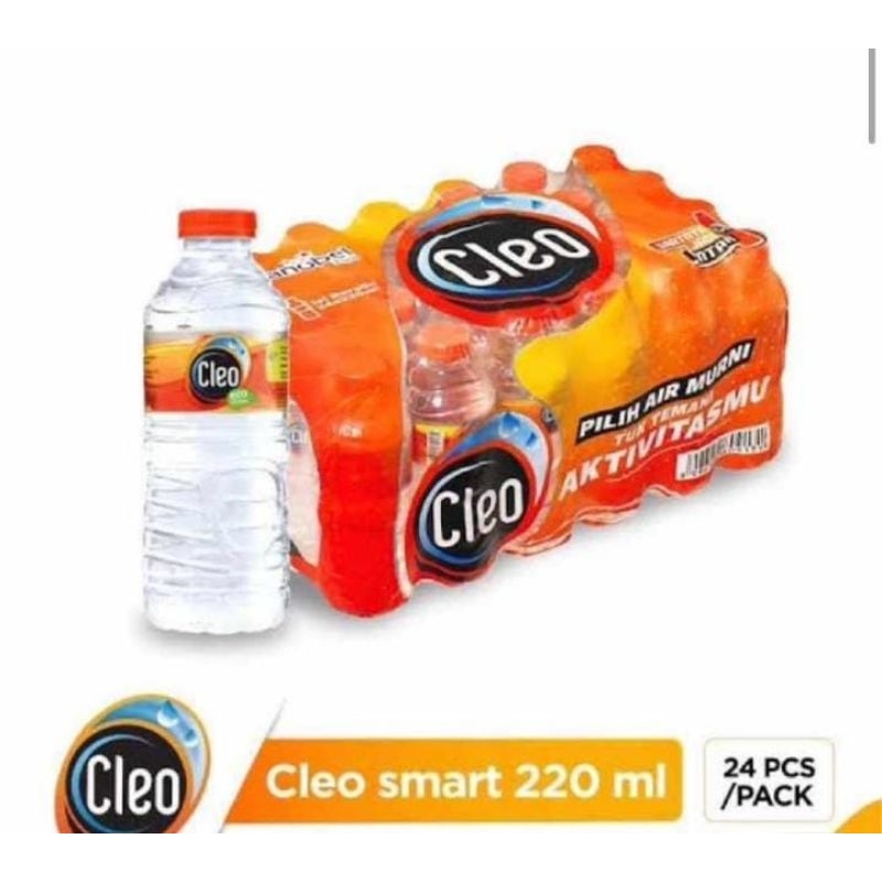 

CLEO Air Mineral / Air Minum Botol 22l isi 24 pcs