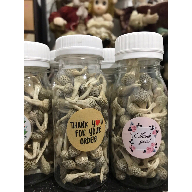 Jamu Mpot Ayam Putih / Albino || Jamu Mpot Asli Madura (isi 70 ml full)