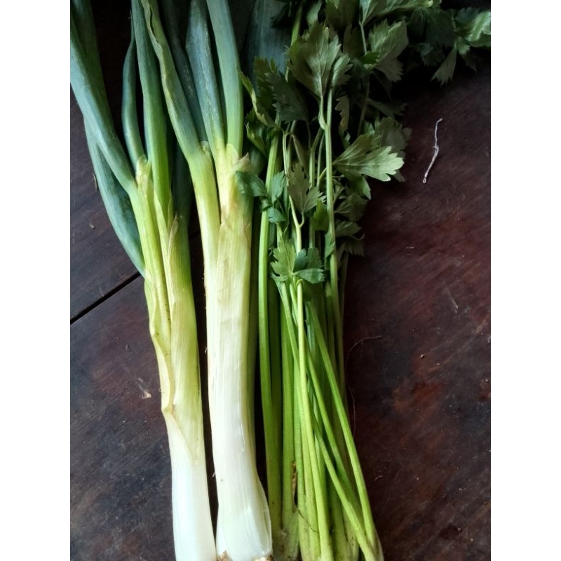 

daun bawang sledri 250gram