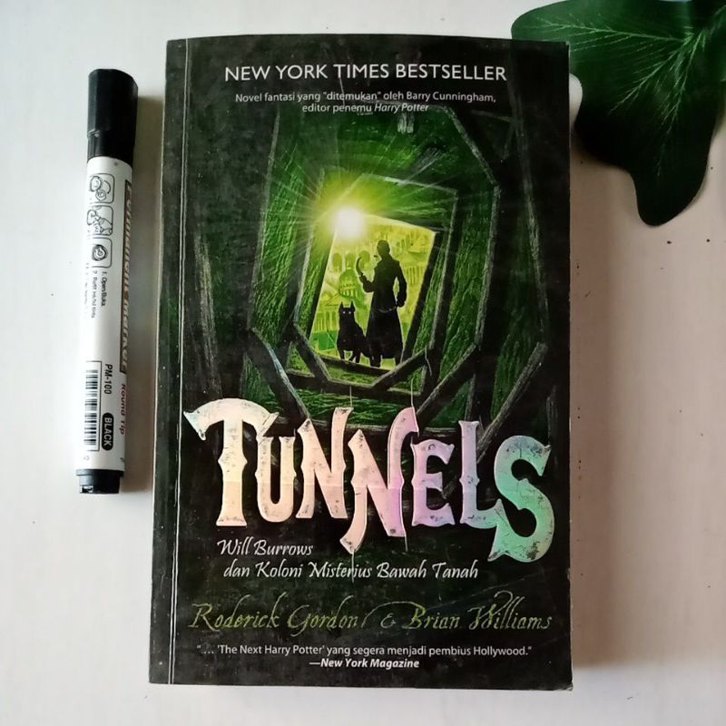 novel Tunnels roderick gordon prelove