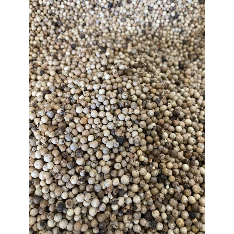 

Lada putih super A 250gr ~ 500gr / Merica putih