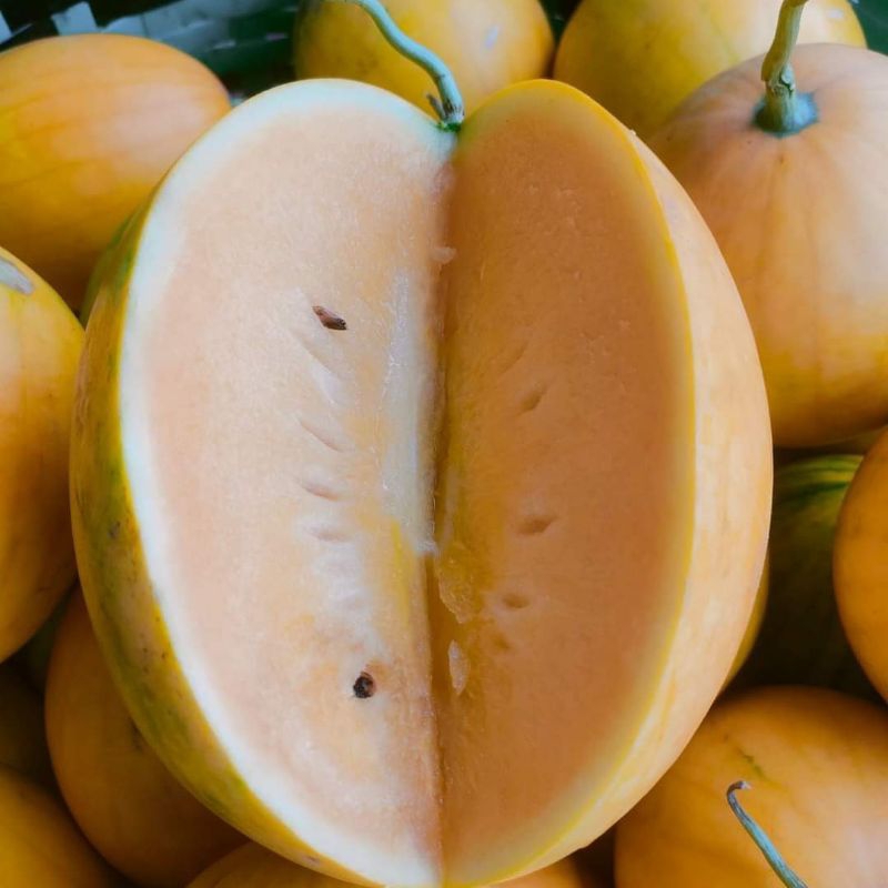 

Semangka golden 1 buah