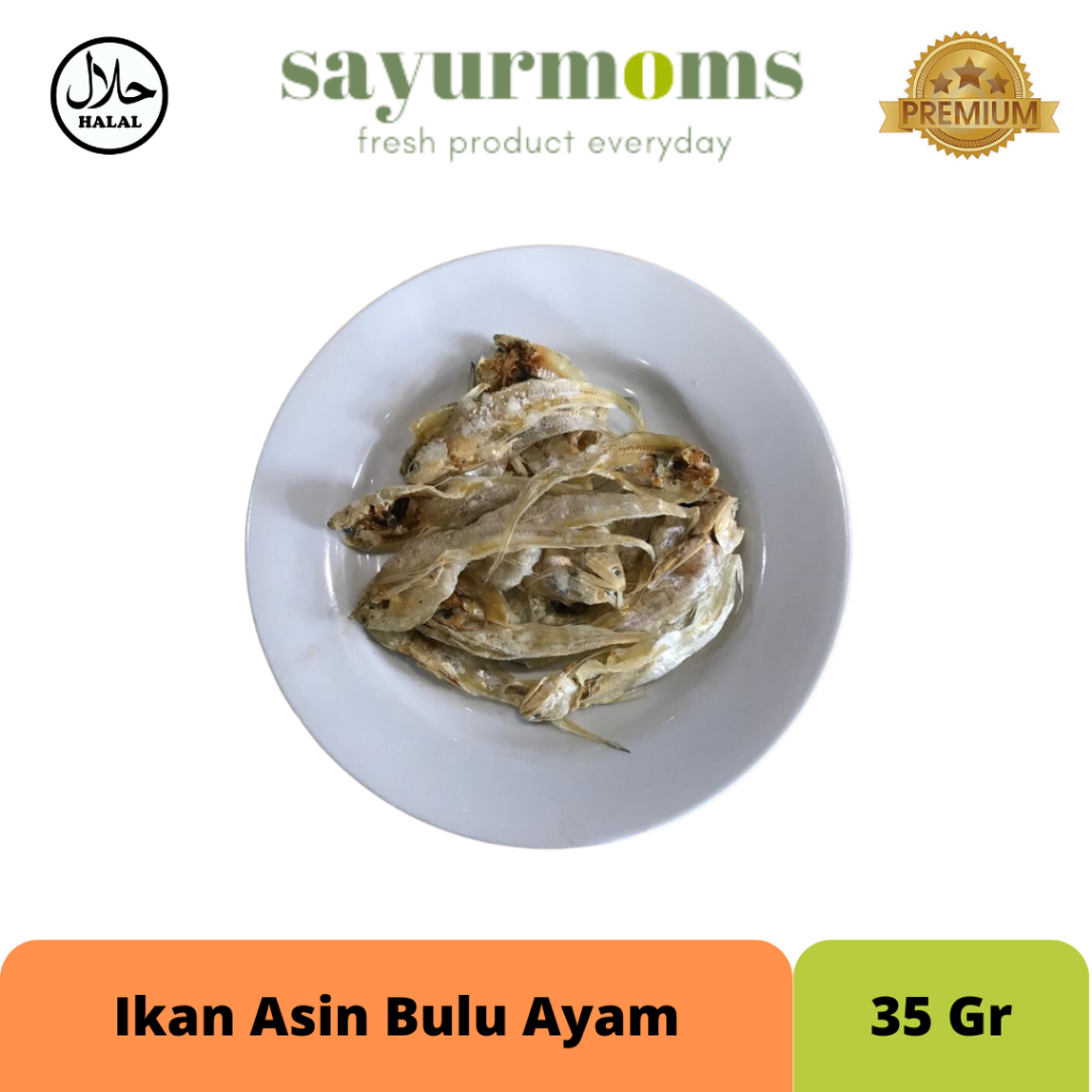 

Ikan Asin Bulu Ayam 35 gr