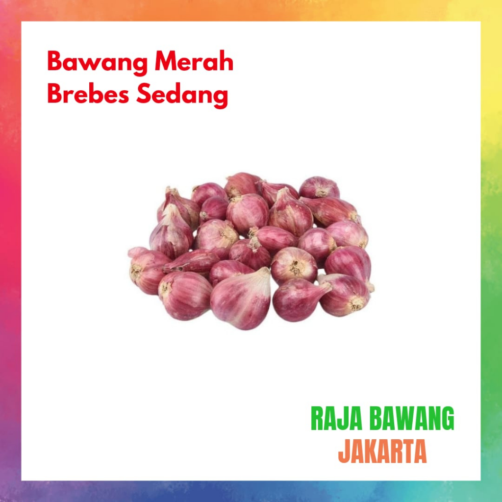 

Bawang Merah Brebes Sedang Kwalitas Terbaik