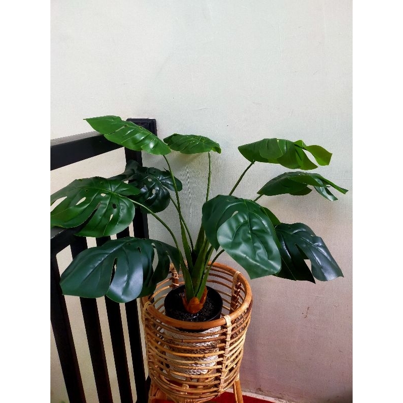MONSTERA ARTIFICIAL DEKORASI RUMAH BY INFORMA