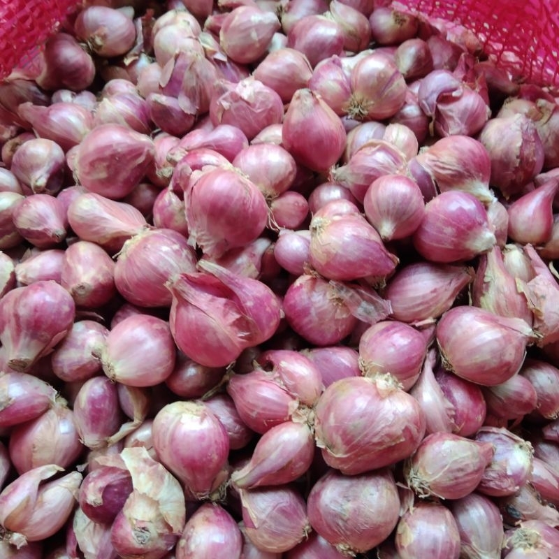 

1 kg bawang merah lokal besar campur kecil.