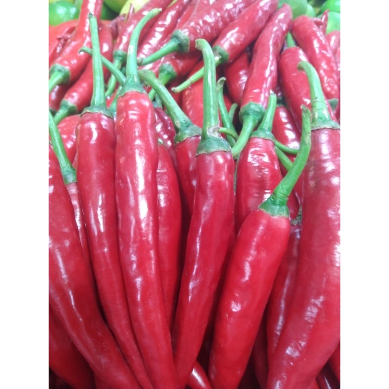 

Cabe Merah Besar 250gr