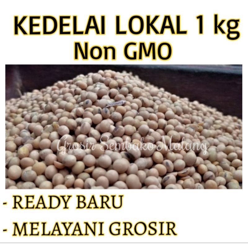KACANG KEDELAI LOKAL NON GMO 1kg / SUSU KEDELAI ALAMI / KEDELAI TEMPE ORGANIK / Kedelai Alami / Dele