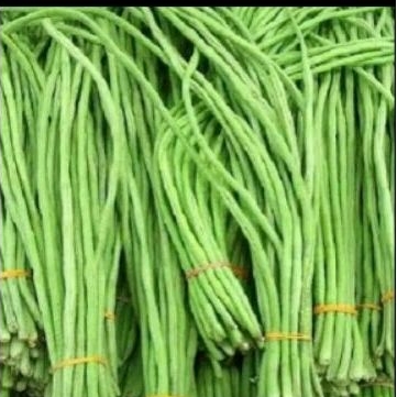 

Kacang Panjang 500gr