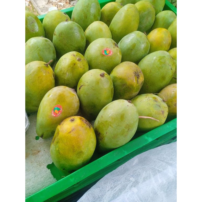 

Mangga Harum Manis 1 kg
