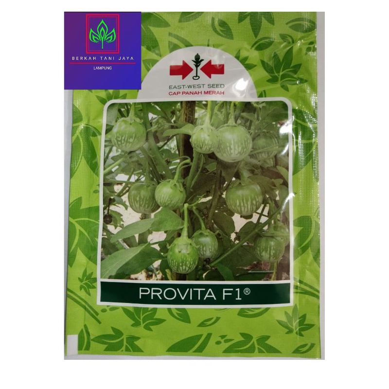 Benih Terong Lalap Provita F1 Cap Panah Merah