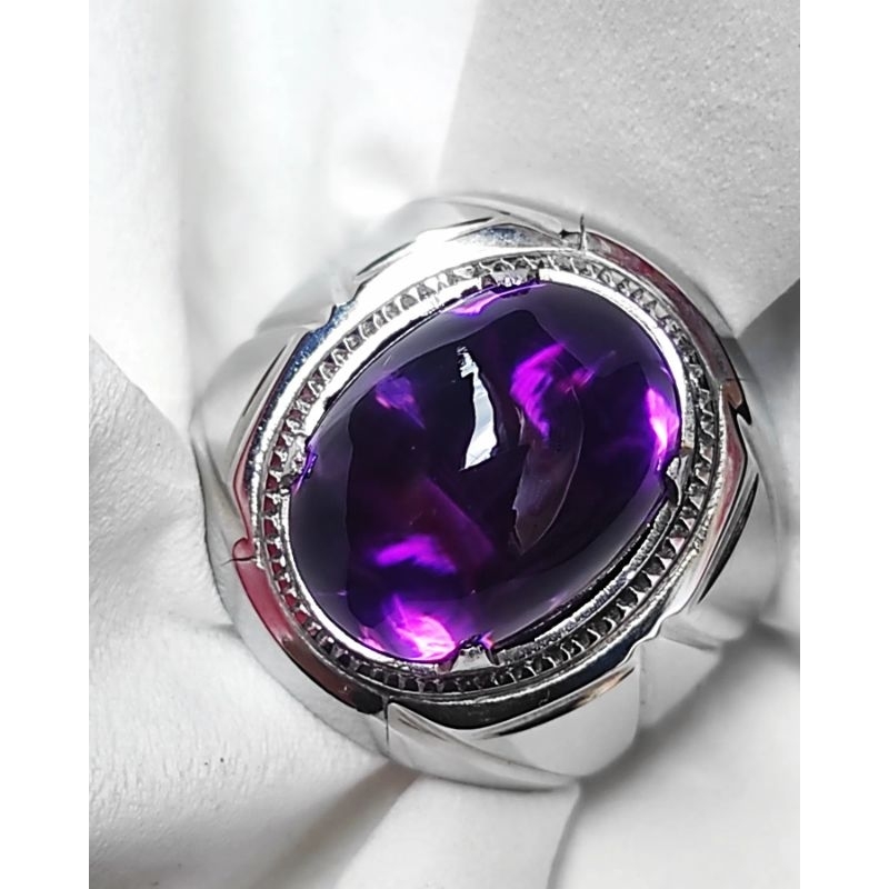 KECUBUNG UNGU TUA, KECUBUNG UNGU BORNEO, KECUBUNG KALIMANTAN