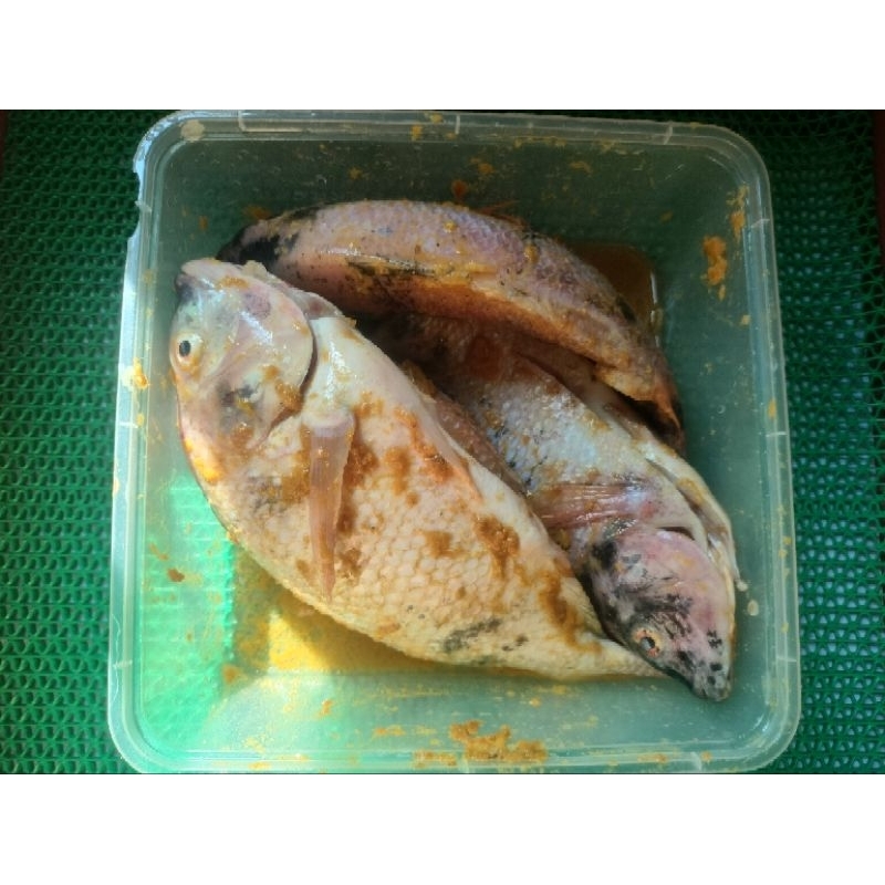 

ikan nila 1 kg