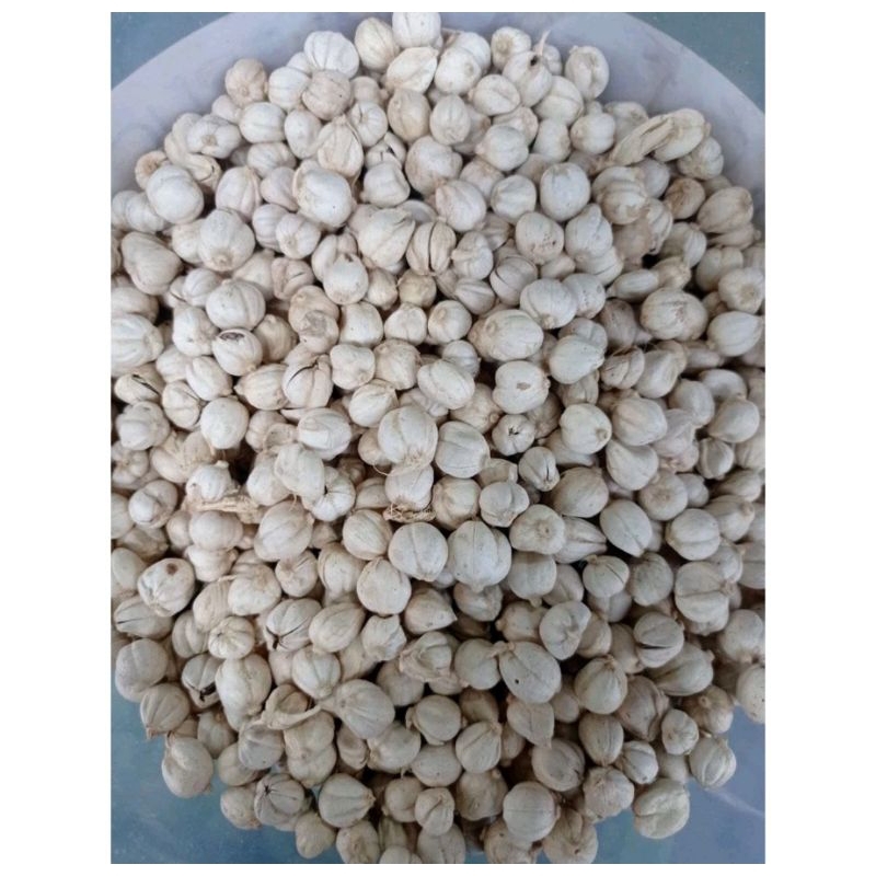 

bumbu kapulaga