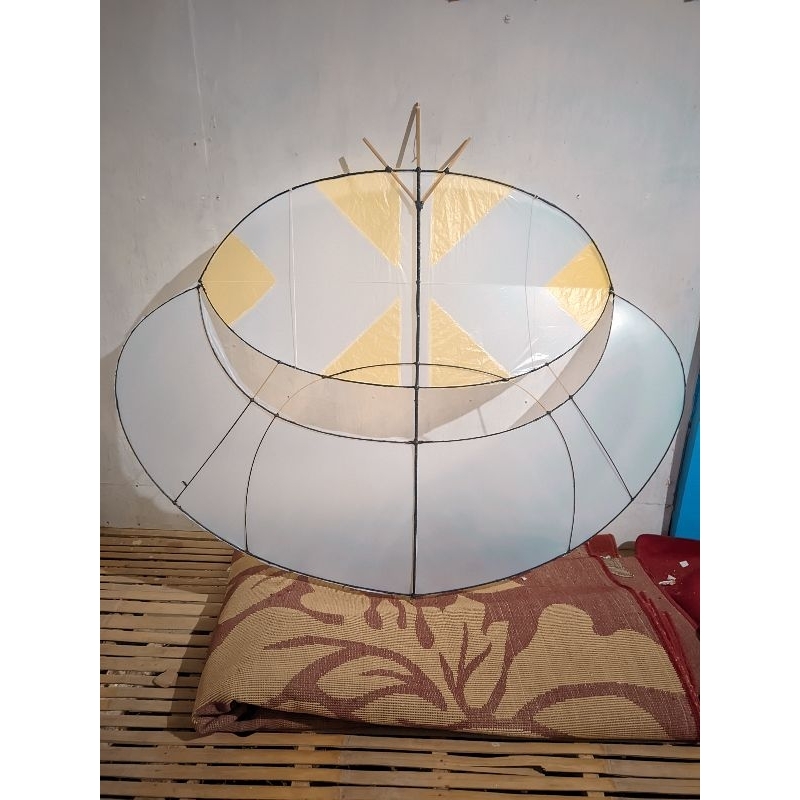 gapangan Pegon ludoyo. ukuran sayap bawah 150cm/1,5meter