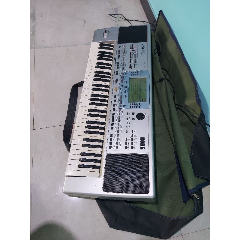 korg pa50 flesdis