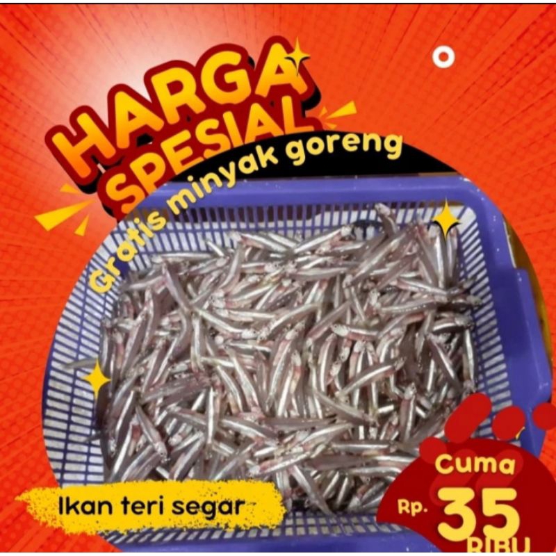

Ikan teri segar 1kg free dibersihkan gratis minyak goreng 1liter