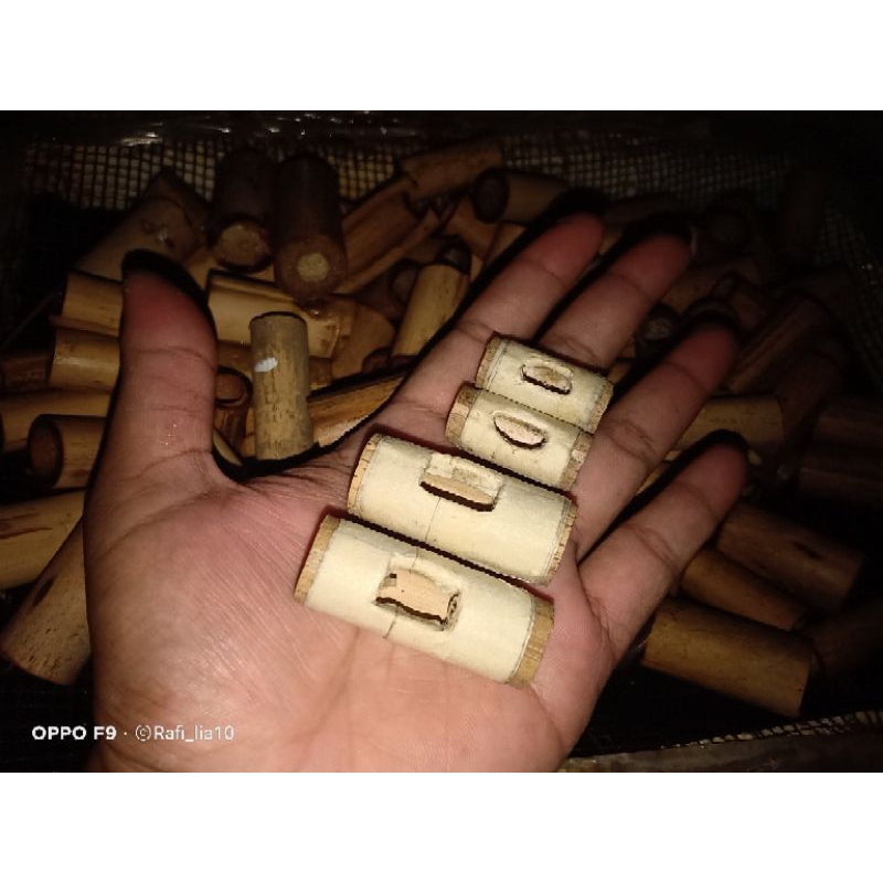 pleting sawangan atau penggigit pita sawangan layangan.