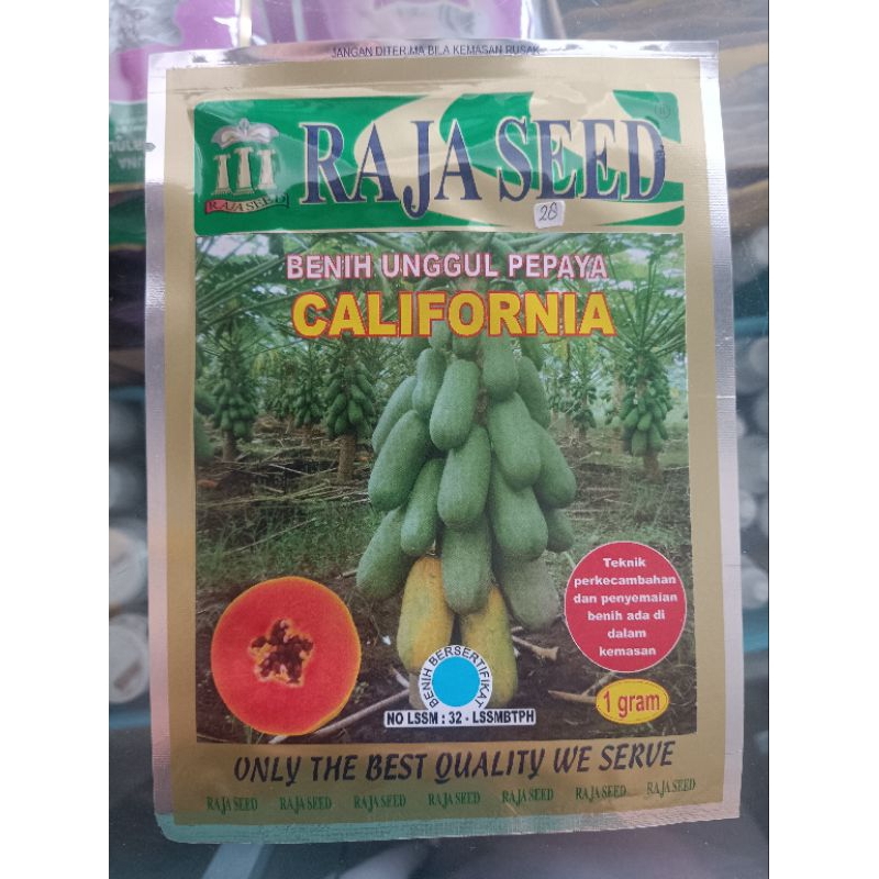 Benih pepaya California raja seed 1 gr