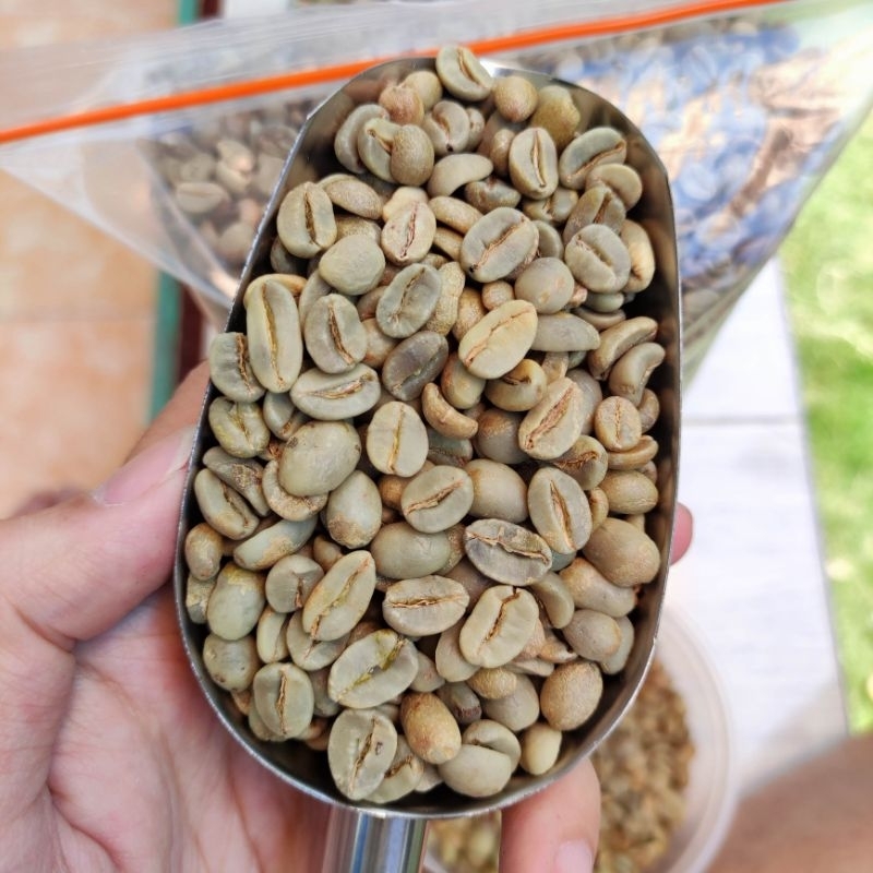 

Greenbean Arabika Aceh Gayo Natural 1kg