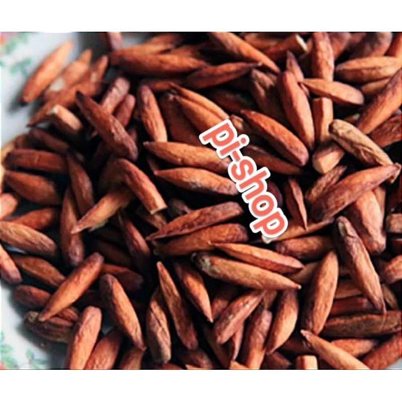 biji buah Ketapang sudah dikupas per 10 biji