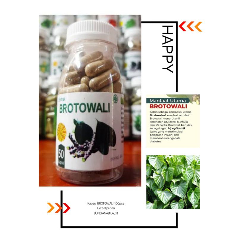 

Kapsul Herbal Brotowali 100pcs