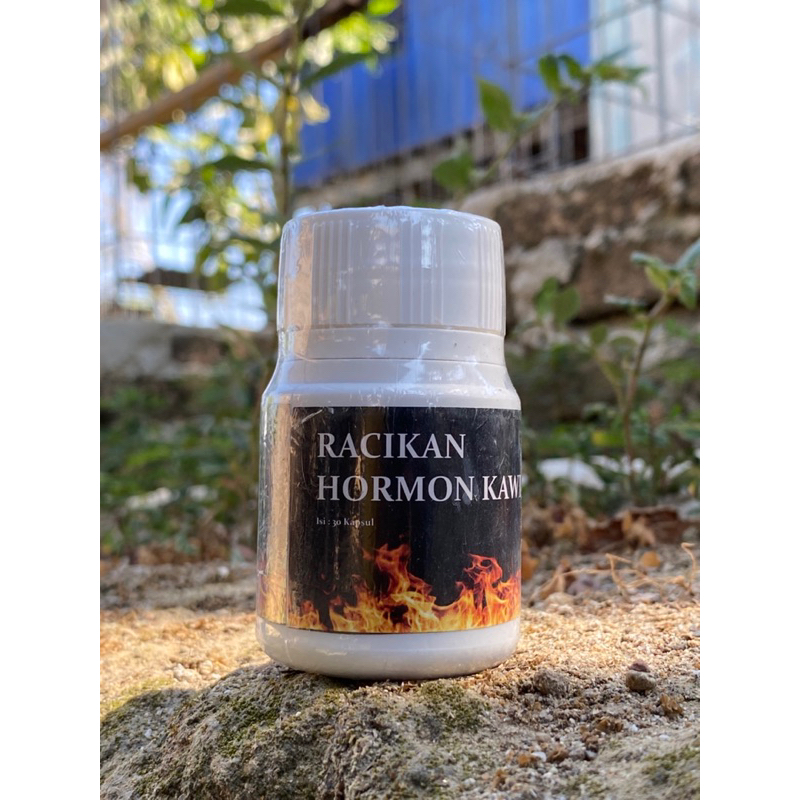Obat Ayam ERNOV Hormon Kawin Ayam Bangkok Aduan