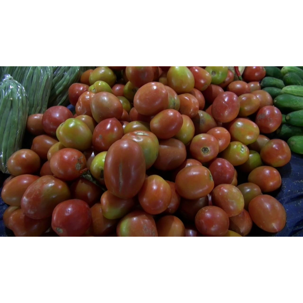 

KIRIM INSTAN Tomat 250gram, 500gram