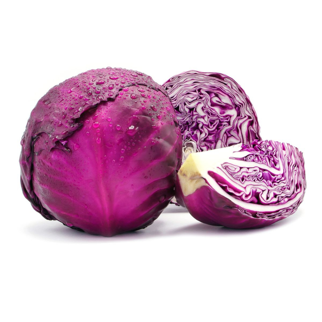 18 BENIH KUBIS SCARLET bibit tanaman kubis ungu biji sayur kubis ungu