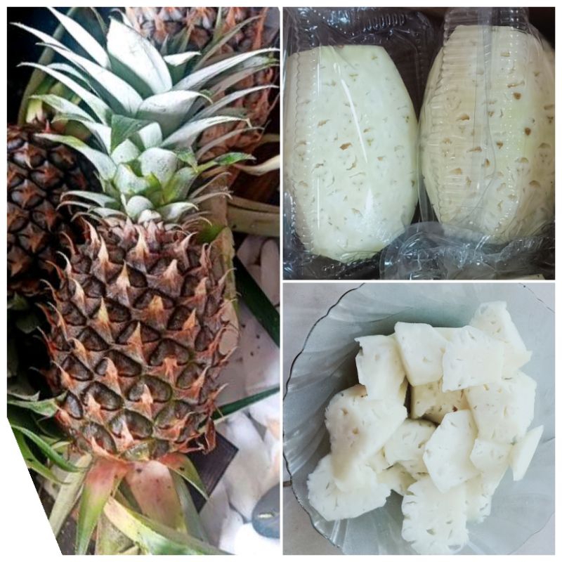 

NANAS MUDA KUPAS dan UTUH||harga perbuah ||pelancar haid ||herbal alami