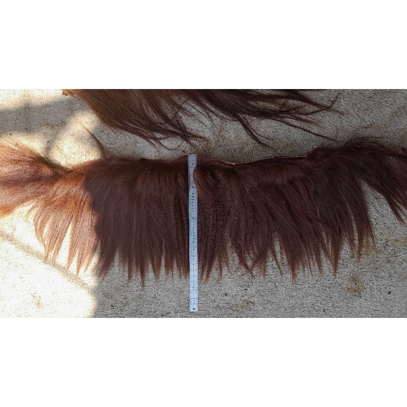 ekor kuda dan suri cokelat hitam