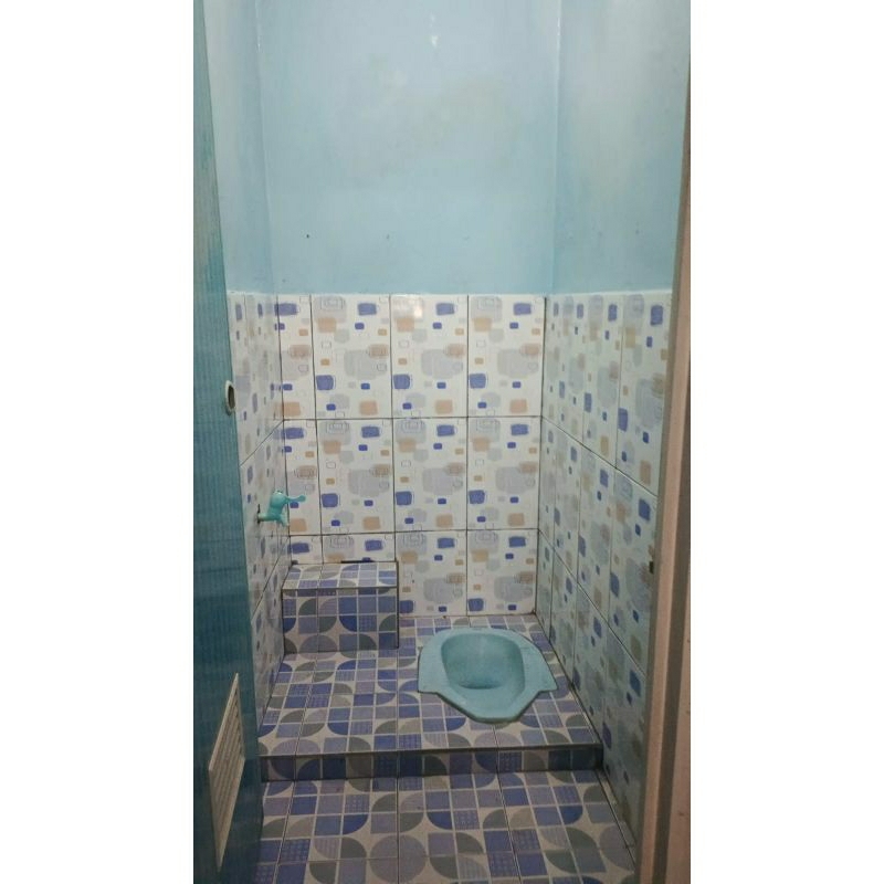 25x40 Mulia Signature Altima Blue