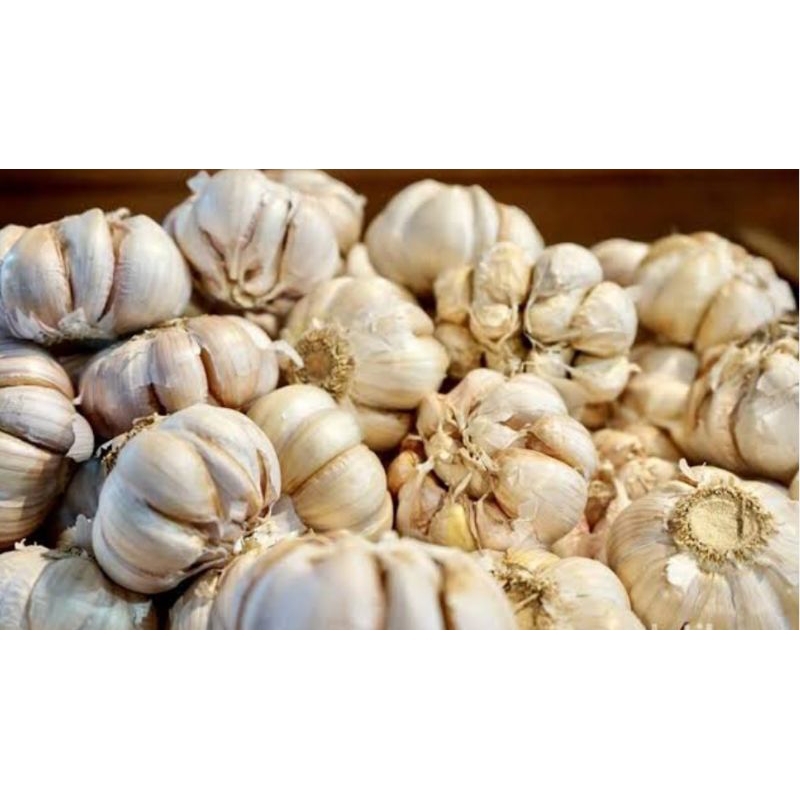 Bawang putih 1 kg