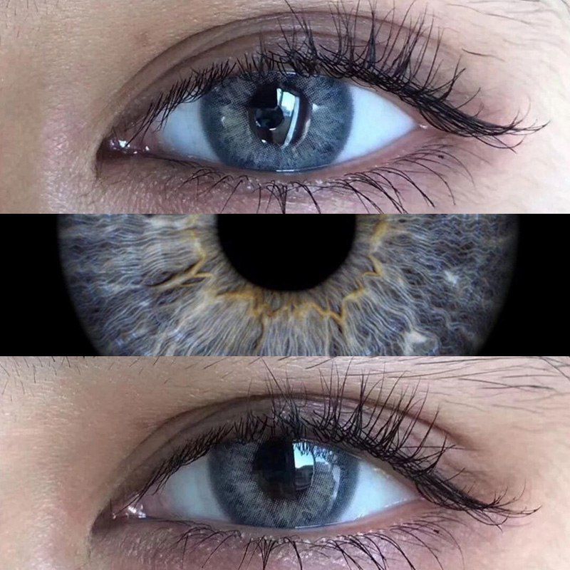 SOFTLENS/  KONTAK LENSA/ KSS EYE-TAYLOR GREY