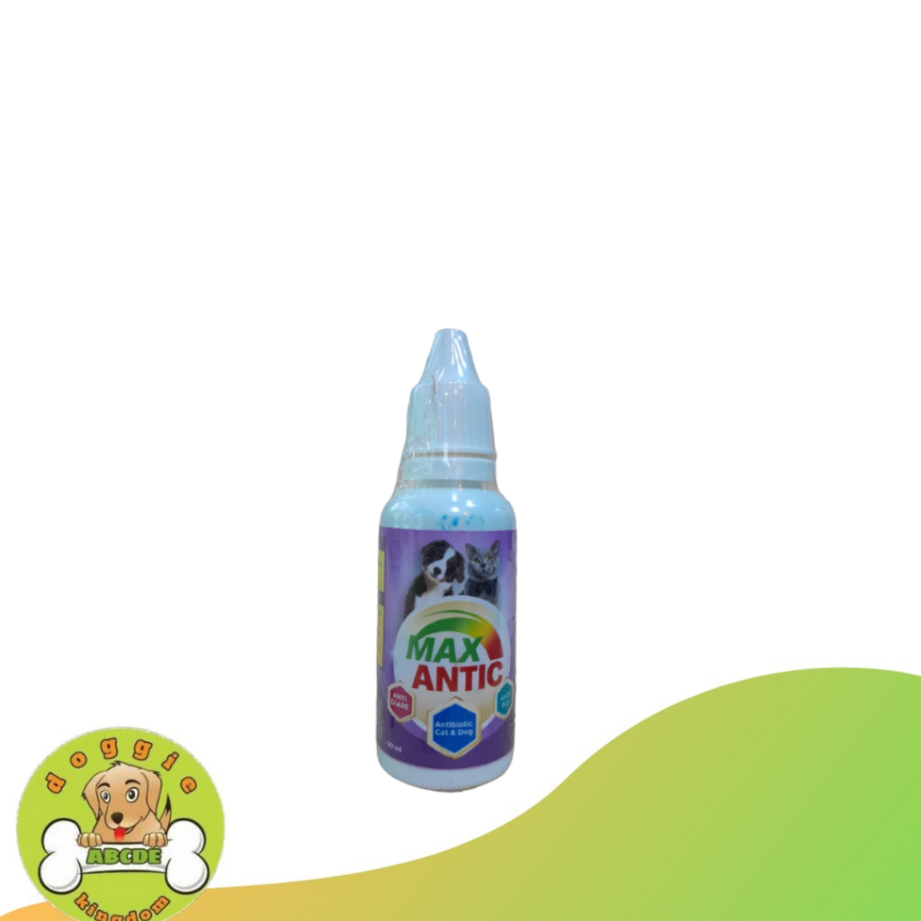 MAX ANTIC Obat Antibiotik Untuk Anjing Kucing