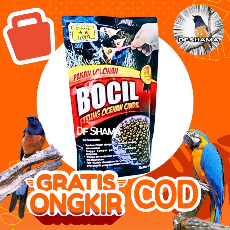 Oriq Bocil Burung Ocehan Cindil 250gr Pakan Lolohan Anakan Burung Murai Cucak Rowo Kacer Jalak Pakan