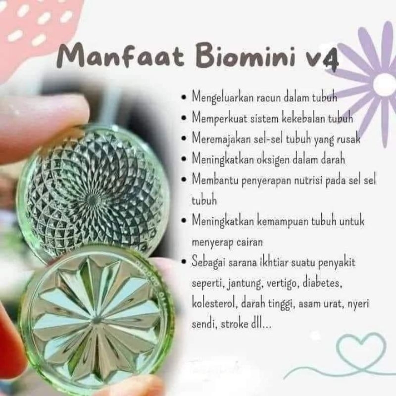 biomini v4