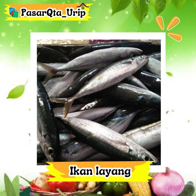 

Ikan Layang Perpaket isi 2-3 ekor atau tergantung ukuran Ika yg ready / pasar ikan makassar / pasar online makassar