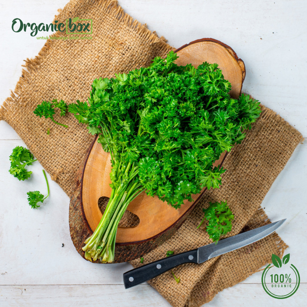 

PARSLEY CURLY ORGANIK 100GR Quality Farm