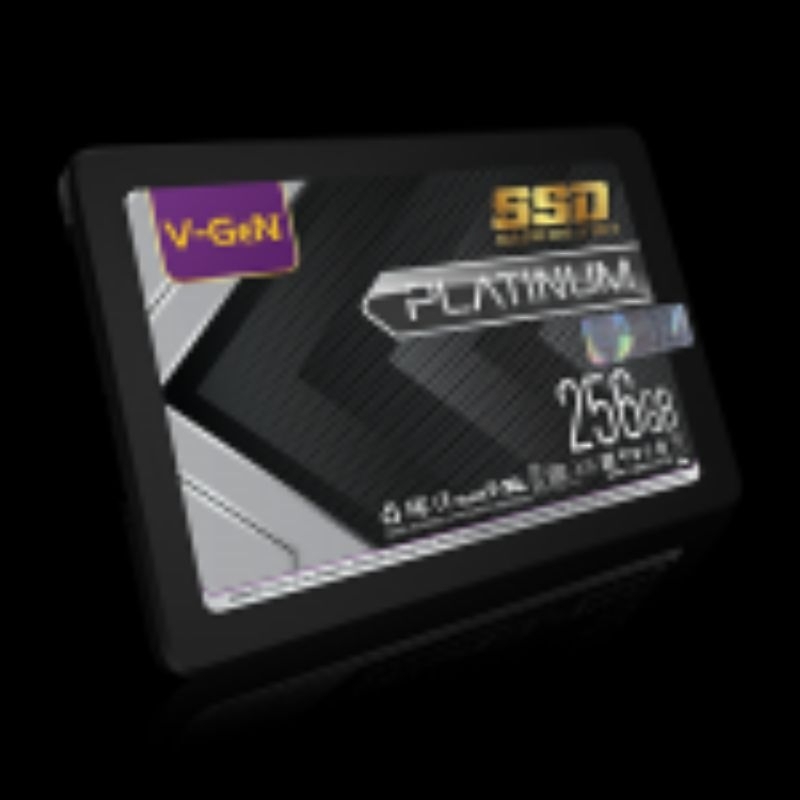 VGEN SSD PLATINUM 256GB