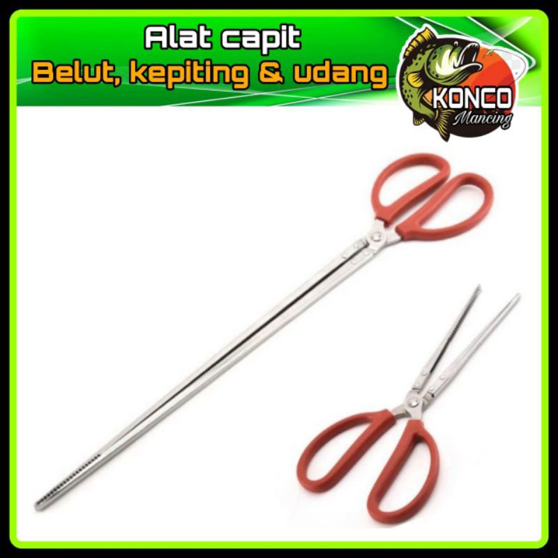 alat capit belut/kepiting/udang