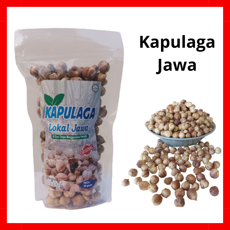 

Kapulaga Kering Lokal Jawa 50 gram