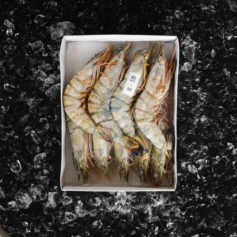 

Udang Black Tiger Jumbo / Udang Tiger Prawn Jumbo Premium 1 kg