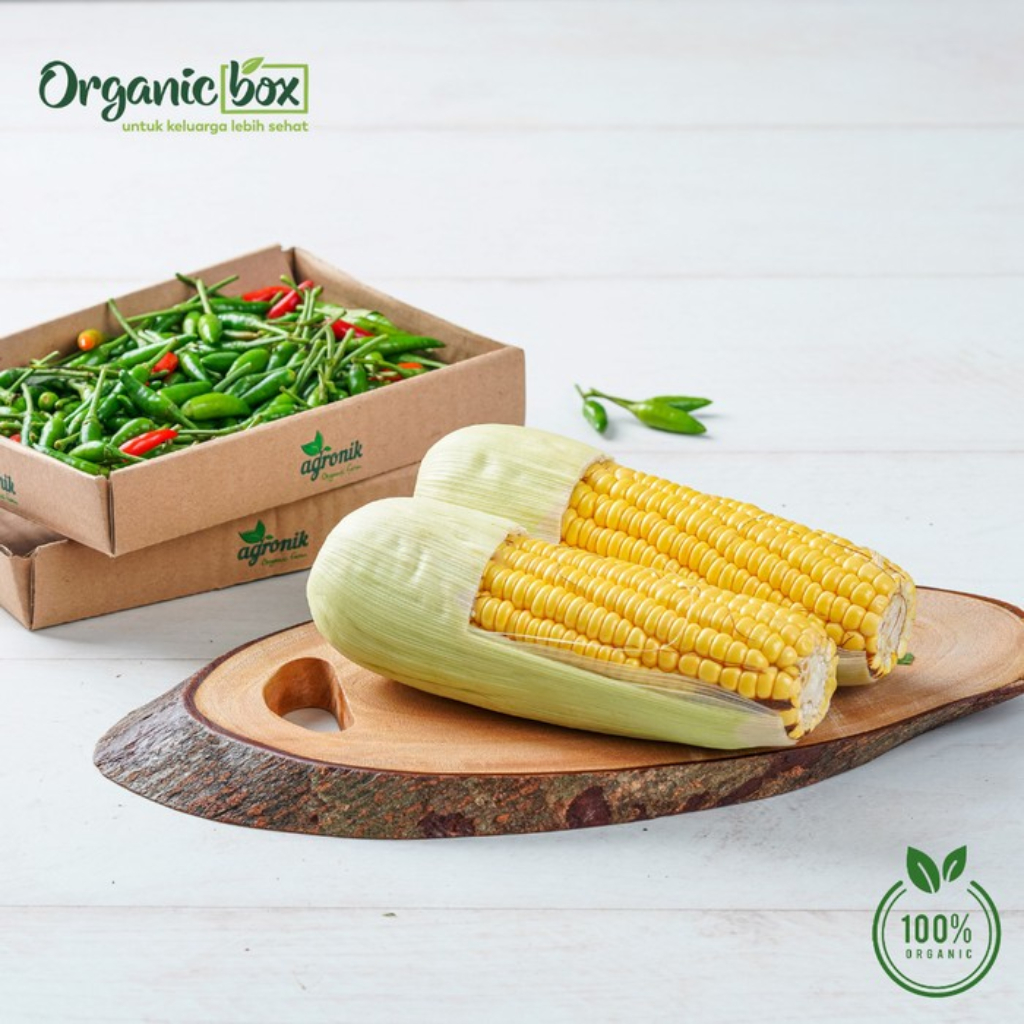 

JAGUNG MANIS ORGANIK 500GR Quality Farm