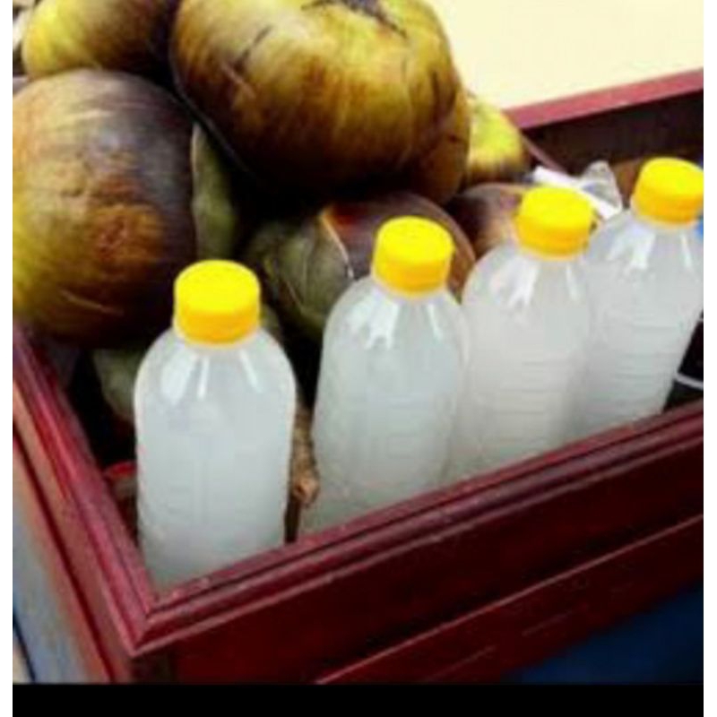 

Air Legen Minuman Khas Tuban 600ml