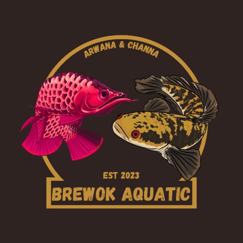 IKAN CHANNA ANDRAO OMBYOK UKURAN 5-6CM GONDRONG