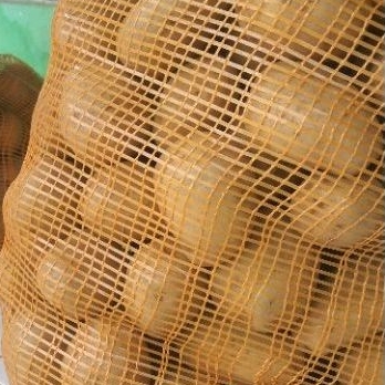 

KENTANG WONOSOBO SUPER AB , BESAR BESAR 1KG