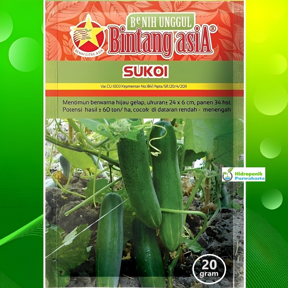 Benih Mentimun Timun Hijau SUKOI 20 Gram Cap Bintang Asia PT Benih Citra Asia